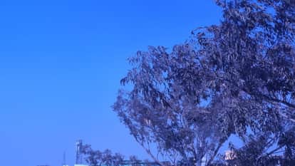 Weather Update West UP: Bright sunshine weakens cold wave grip, people get relief