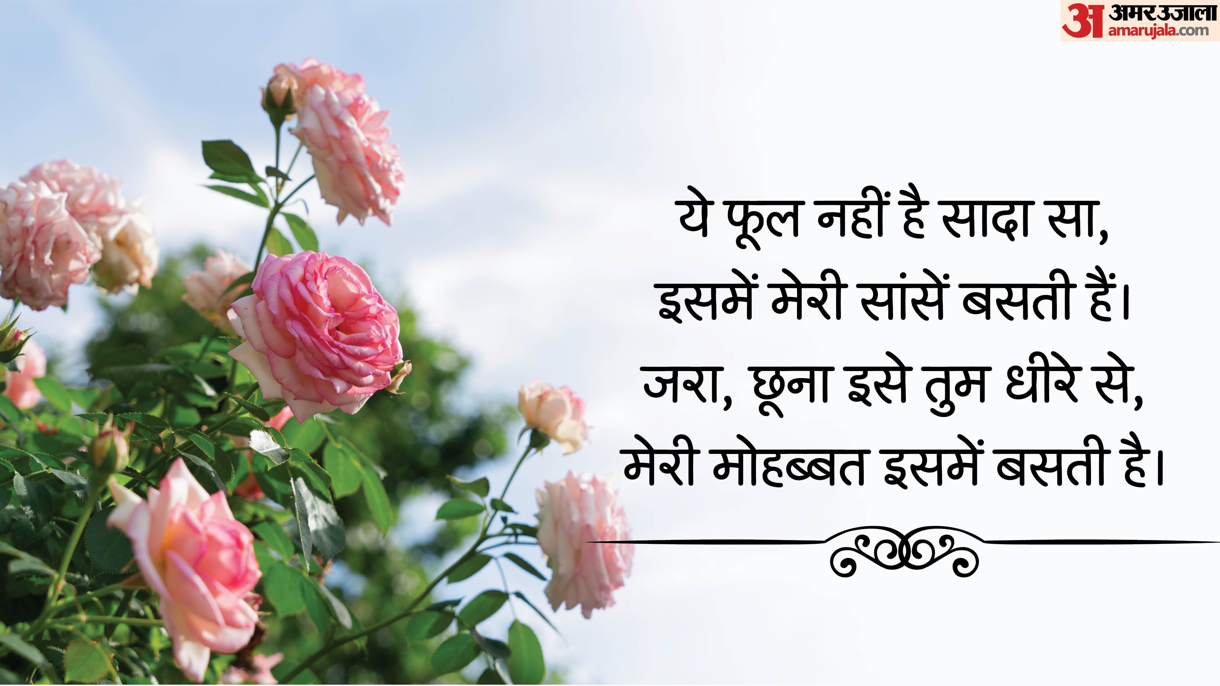 Happy Rose Day 2026 Wishes Images Messages Quotes Shayari Wallpapers HD