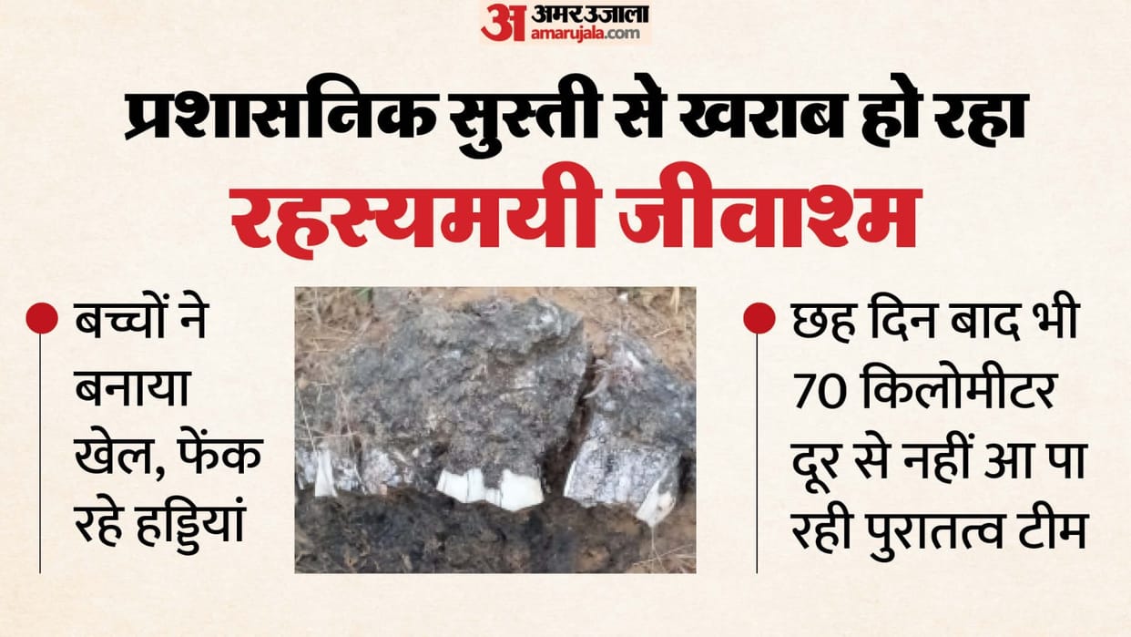 Sidhi News Madhya Pradesh Why are potential fossils not being preserved