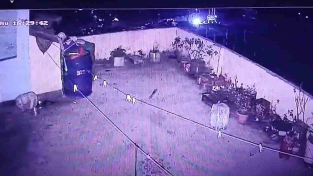 Leopard entered house through roof snatched pet dog carried it away incident captured on CCTV Champawat News