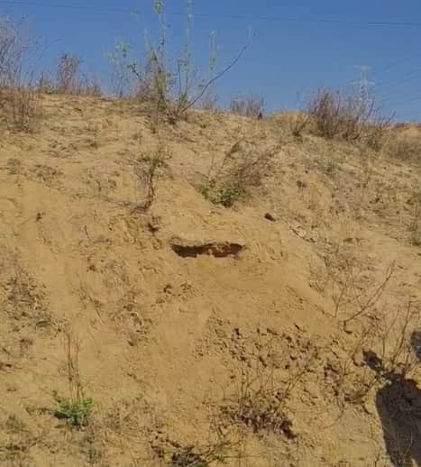 Sidhi News Madhya Pradesh Why are potential fossils not being preserved