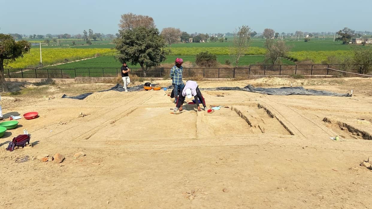 Stone beads unearthed during excavations at Rakhigarhi remains of fish and turtles found