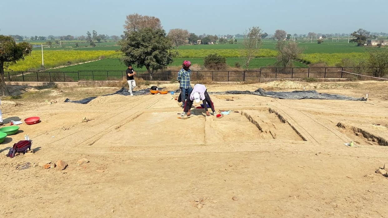 Stone beads unearthed during excavations at Rakhigarhi remains of fish and turtles found