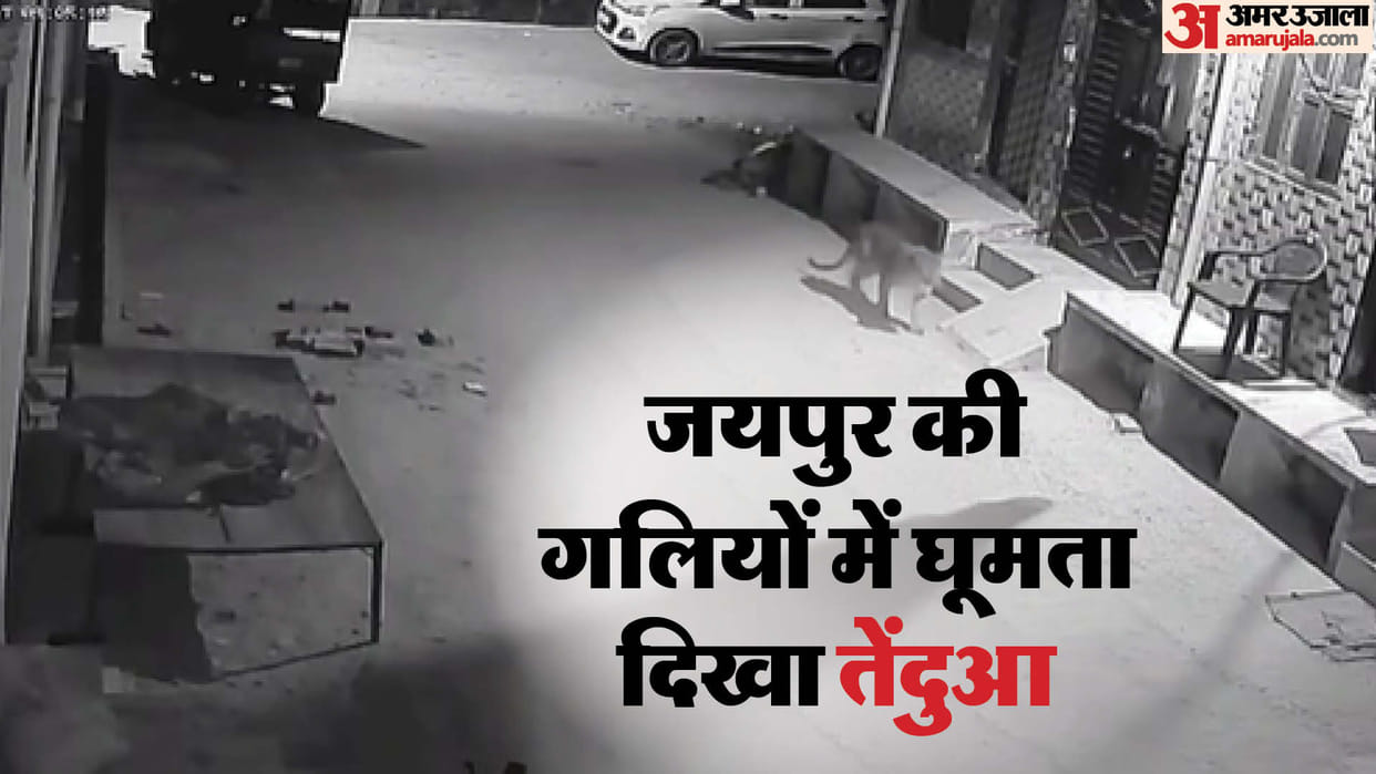 Leopard seen roaming in Agra Road Surya City Jaipur late at night movement captured on CCTV