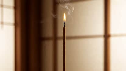 Home Pollution: Incense sticks, spices and cleaning chemicals are increasing pollution in the house.
