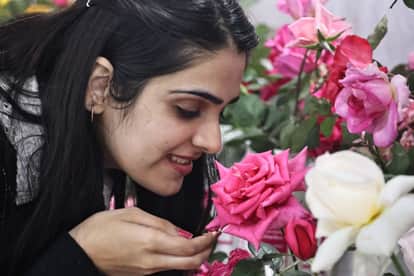 indore news: rose day valentine week rose demand and price hike