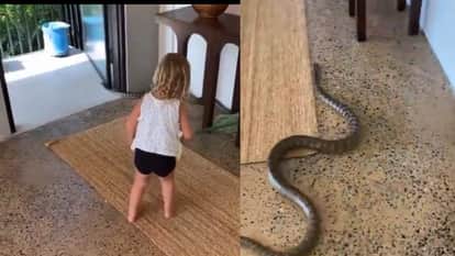 Australian man teaches his little daughter how to get a snake out of the house video goes viral