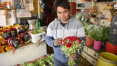 Shimla News This time, expressing love is hit by inflation; a single rosebud costs a hundred rupees