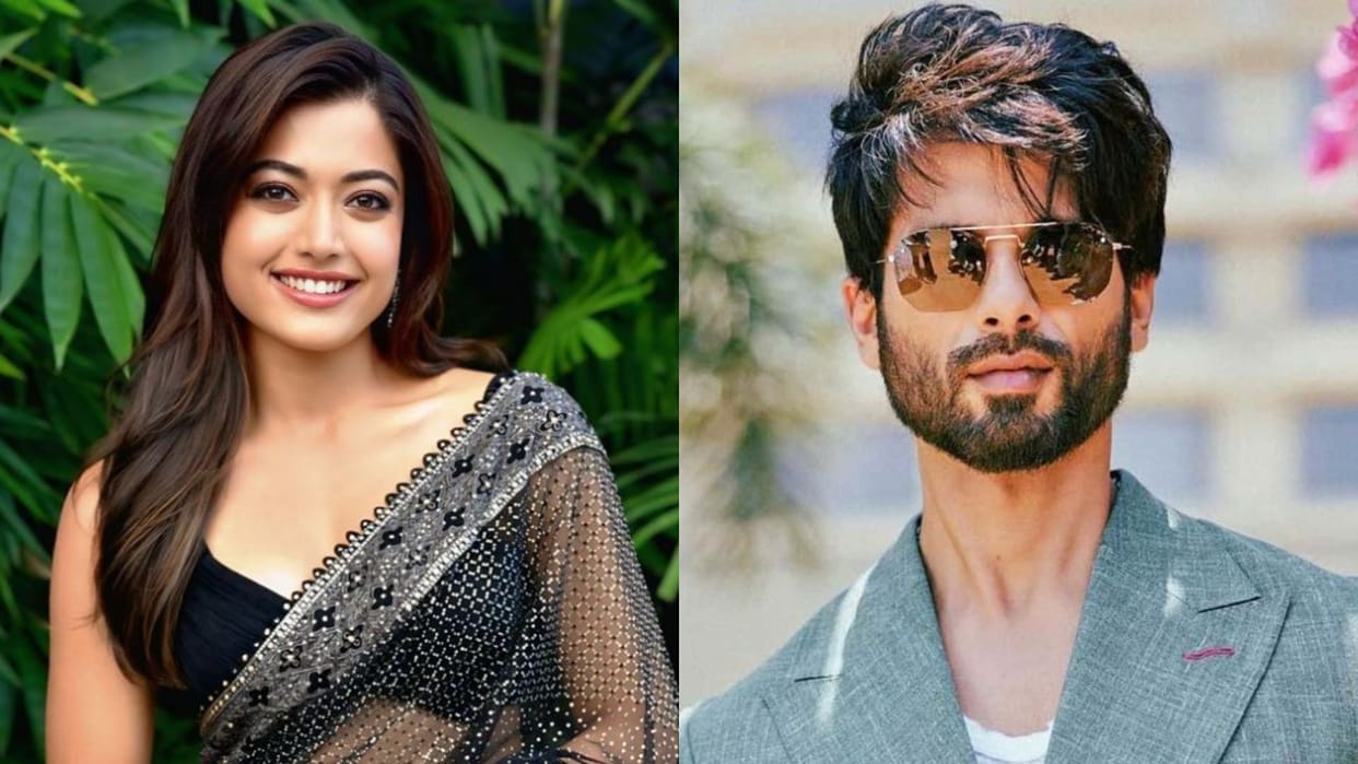 After Cocktail 2 Rashmika Mandanna and Shahid Kapoor will act togation in romantic drama