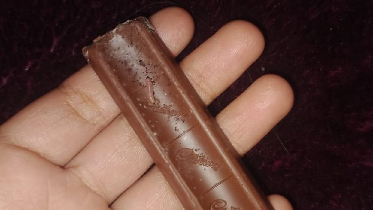 Himachal A live worm was found in a chocolate bar in the Nauni area of Bilaspur