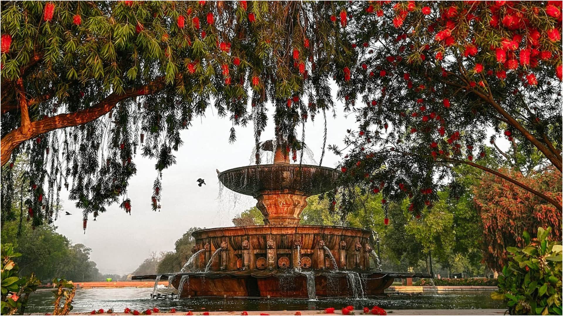 Valentine Day 2026 Delhi Romantic Places For Couple Date in Low Budget