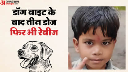 Three deaths from rabies in Gwalior spark panic 6-year-old boy dies after receiving three doses of anti-rabies