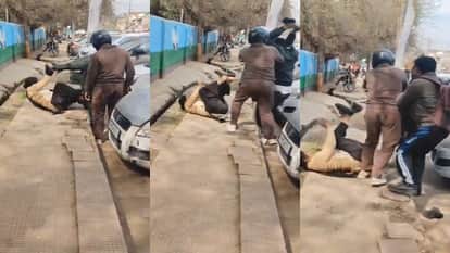 husband attacked his wife when she was returning from court after divorce hearing in mathura