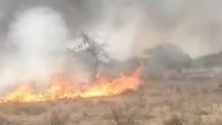 Balotra News:खलिहान में लगी भीषण आग, ज्वार-चना की फसल जलकर खाक, ग्रामीणों  ने की स्थायी दमकल वाहन की मांग - Balotra News: Blaze Destroys Jowar And  Gram Crops In Harvest Yard, Villagers