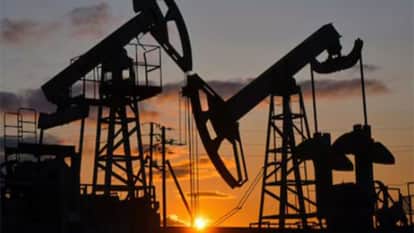 russian crude oil supply to india to continue cutback process starts know what authorities tells