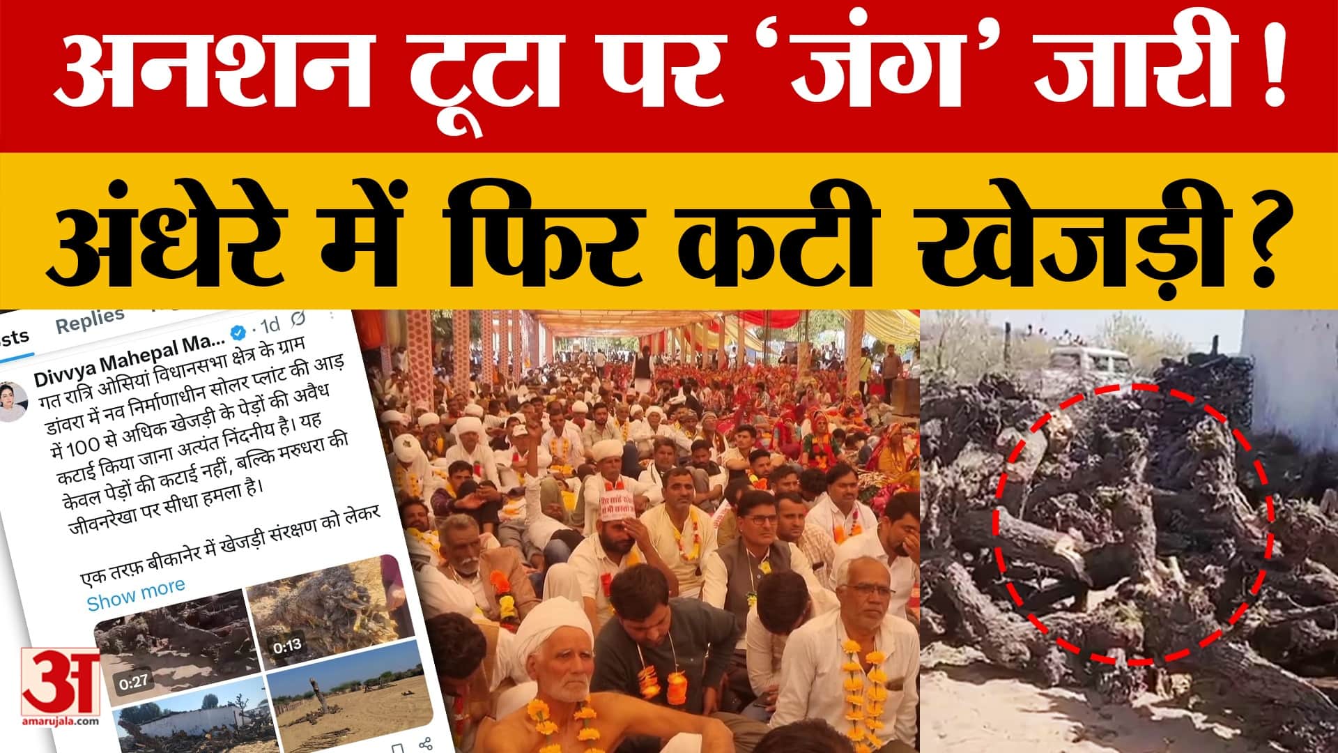 Save Khejri: खेजड़ी के लिए 'रण' जारी!, अब उठे ये सवाल! | Amar Ujala  | Rajasthan