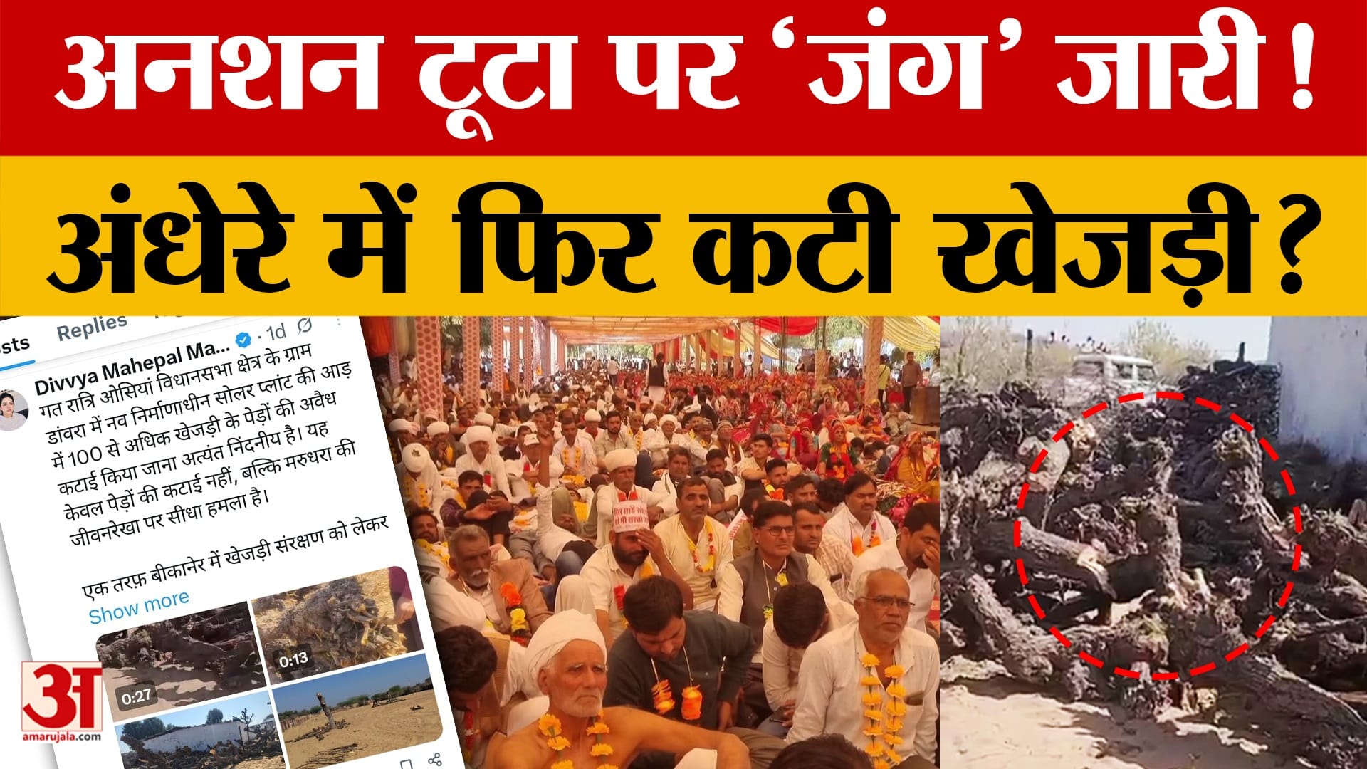 Save Khejri: खेजड़ी के लिए 'रण' जारी!, अब उठे ये सवाल! | Amar Ujala  | Rajasthan