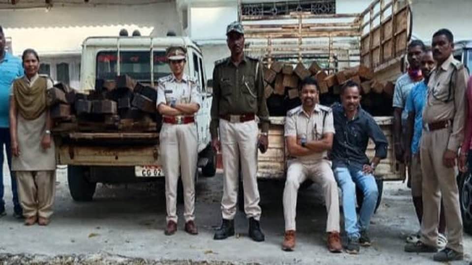 100 नग अवैध चिरान लकड़ी जब्त की