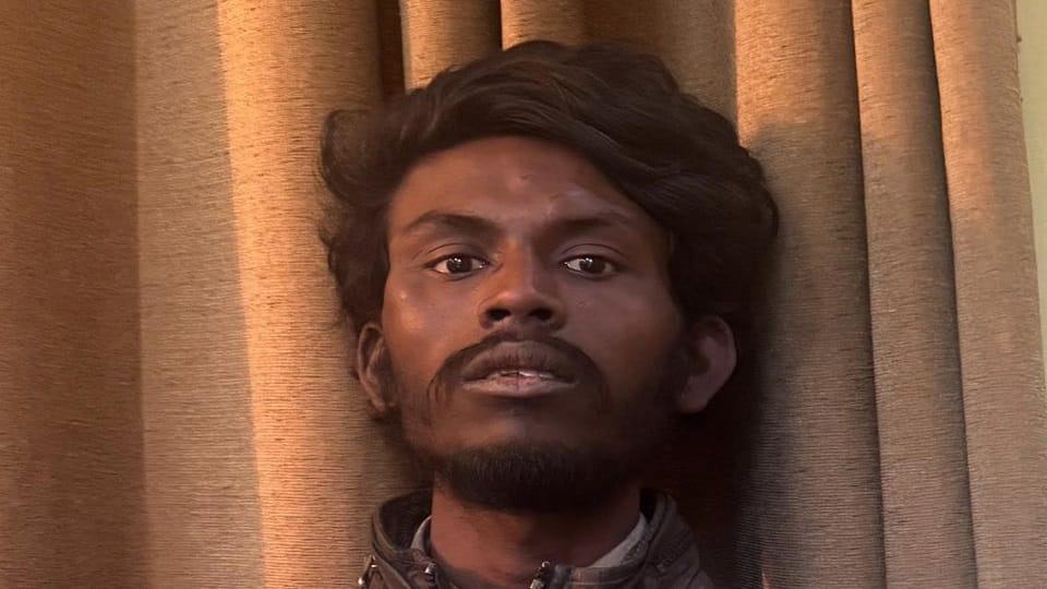 Agra Horror: Elder Brother Brutally Kills 19-Year-Old Sibling with Stone Over Liquor Money