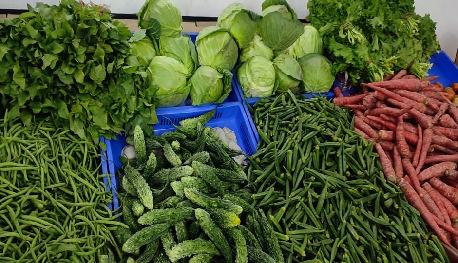 Iran-Israel War Unable to Export Vegetables from Purvanchal to Gulf Nations Losses Exceed 6 Lakhs