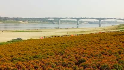 Success story of Marigold cultivation by women in fields of Bairwan village at Varanasi