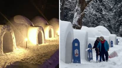 Himachal Antarctica-like feel in Hamta Manali igloos become attraction online bookings