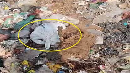 Dogs ate newborn baby