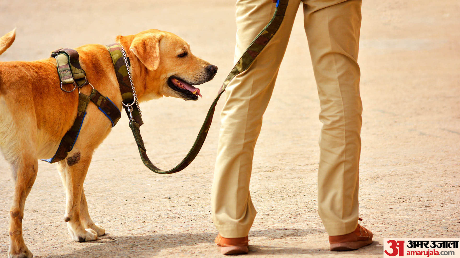 मामले की जांच में जुटी पुलिस