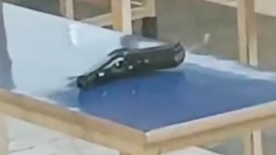 Murder of Tarn Taran Law College student Prince Raj shot her with his father licensed pistol