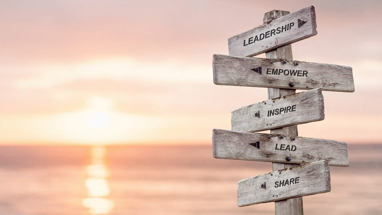 How Great Leaders Align Vision, Build Trust and Drive Organizational Change for Sustainable Team Success Now