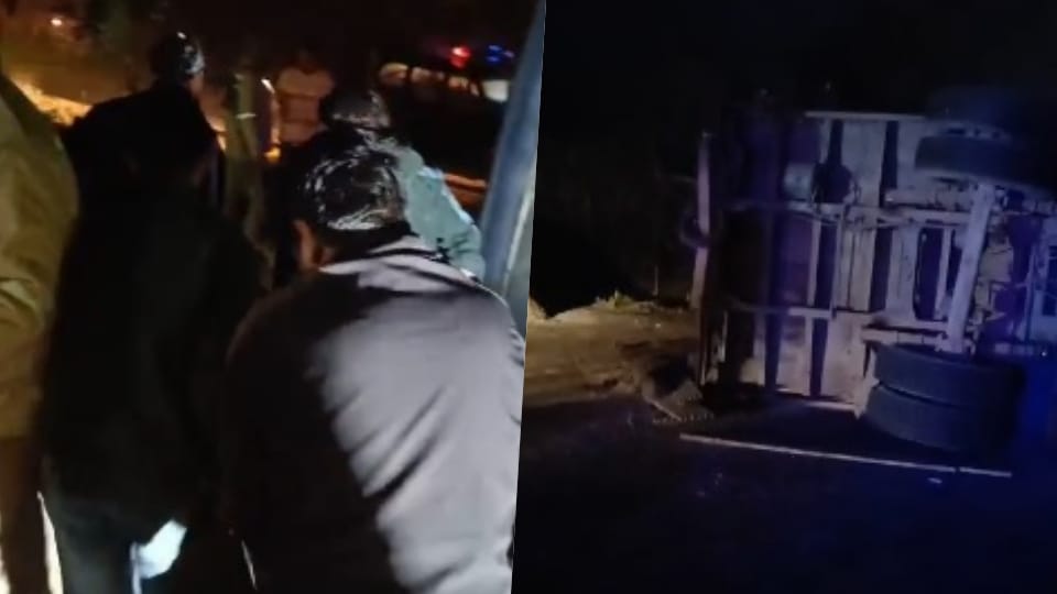 Bus and truck collide while trying to save an animal, child dies