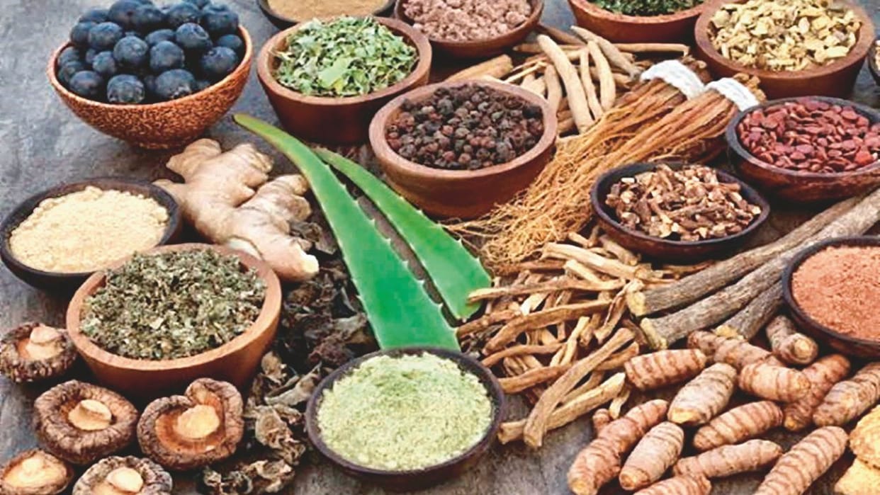 Himachal News Medicines prepared in Himachal are in demand abroad as well helpful in serious diseases