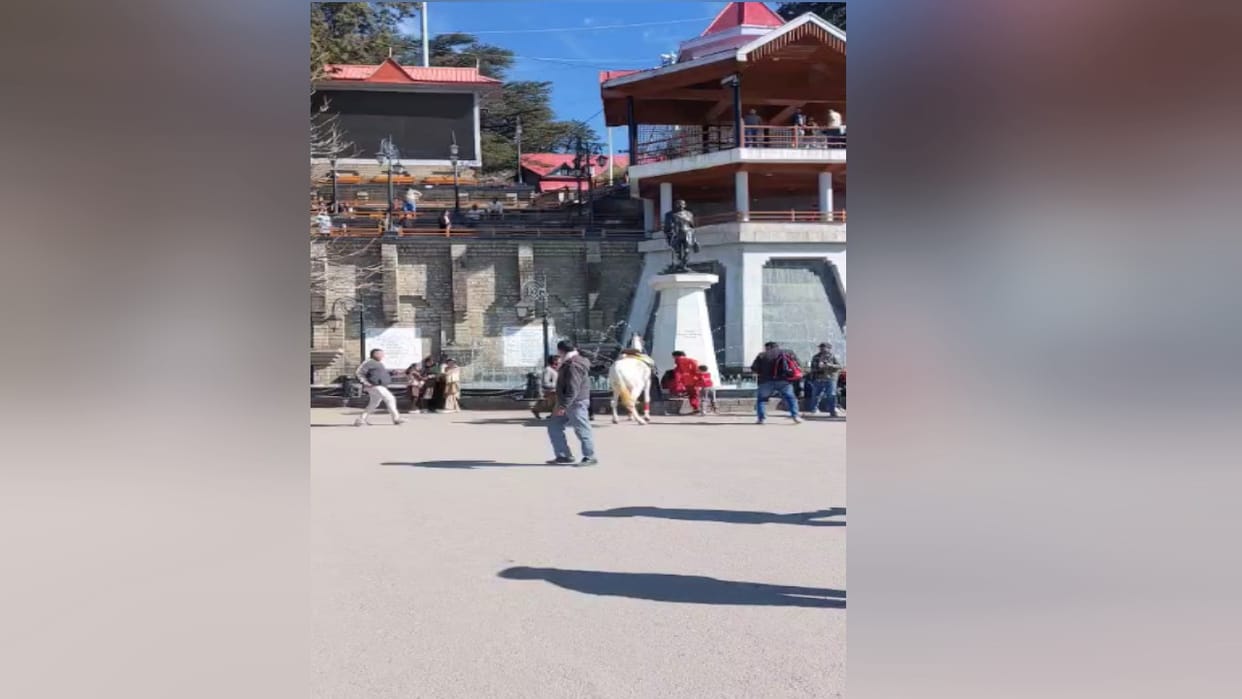 Woman falls while horse riding on Ridge Maidan, seriously injured