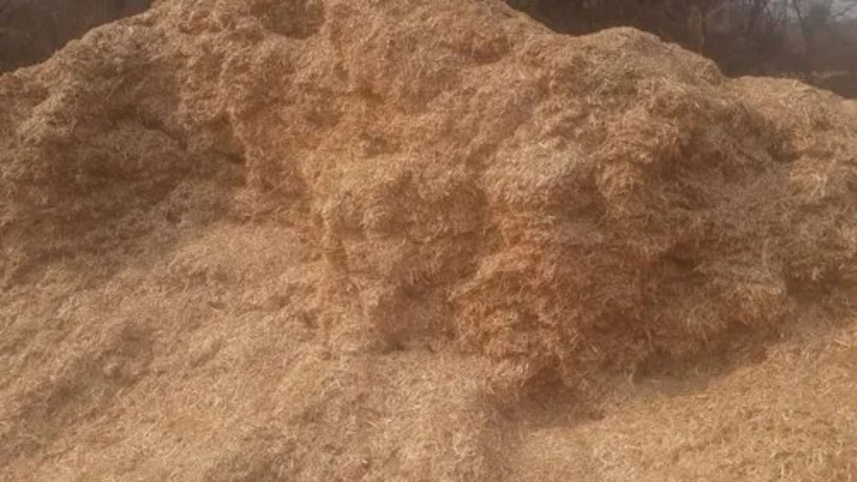 Sirmour News Straw prices rise from 600 to 1200, cattle farmers worried