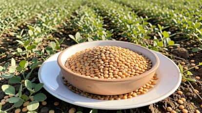 World Pulses Day: Why are nutritious pulses disappearing from our plates?