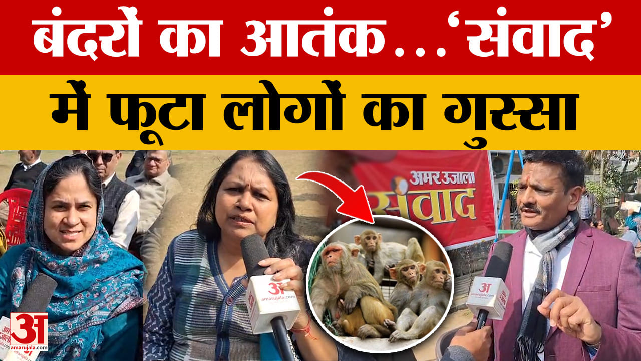 Bareilly News: बंदरों का आतंक...'संवाद' में फूटा लोगों का गुस्सा