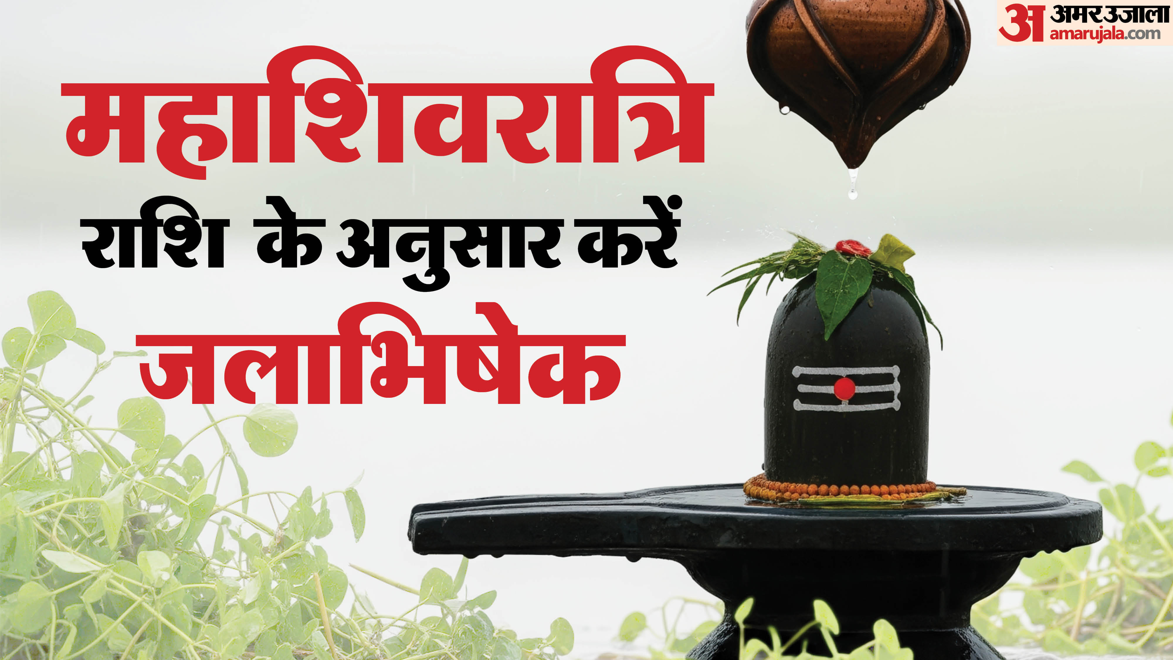 Mahashivratri 2026 Uttarashadha and Shravan Nakshatra Jalabhishek according to zodiac sign