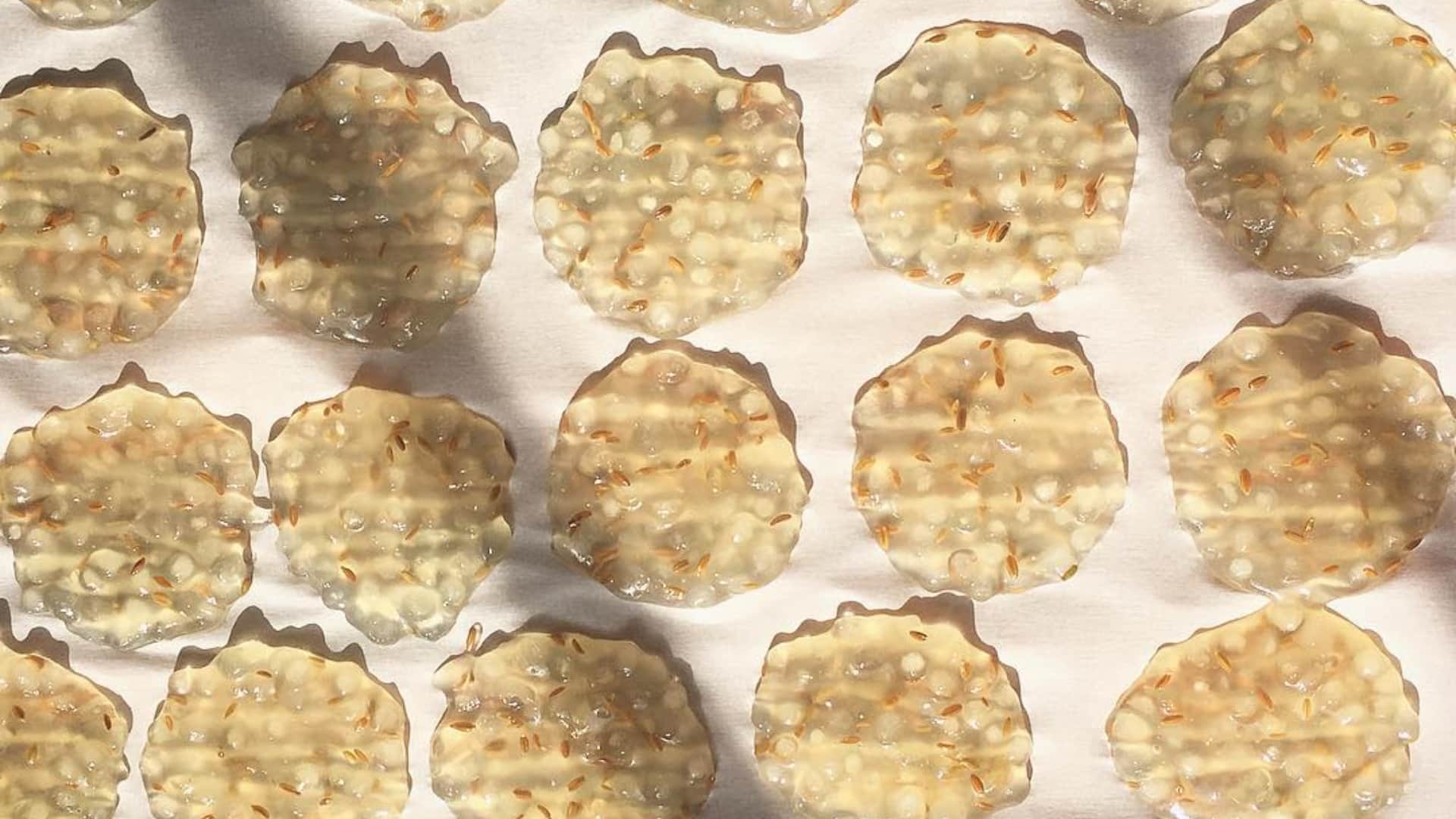 how to make sabudana papad at home for mahashivratri 2026