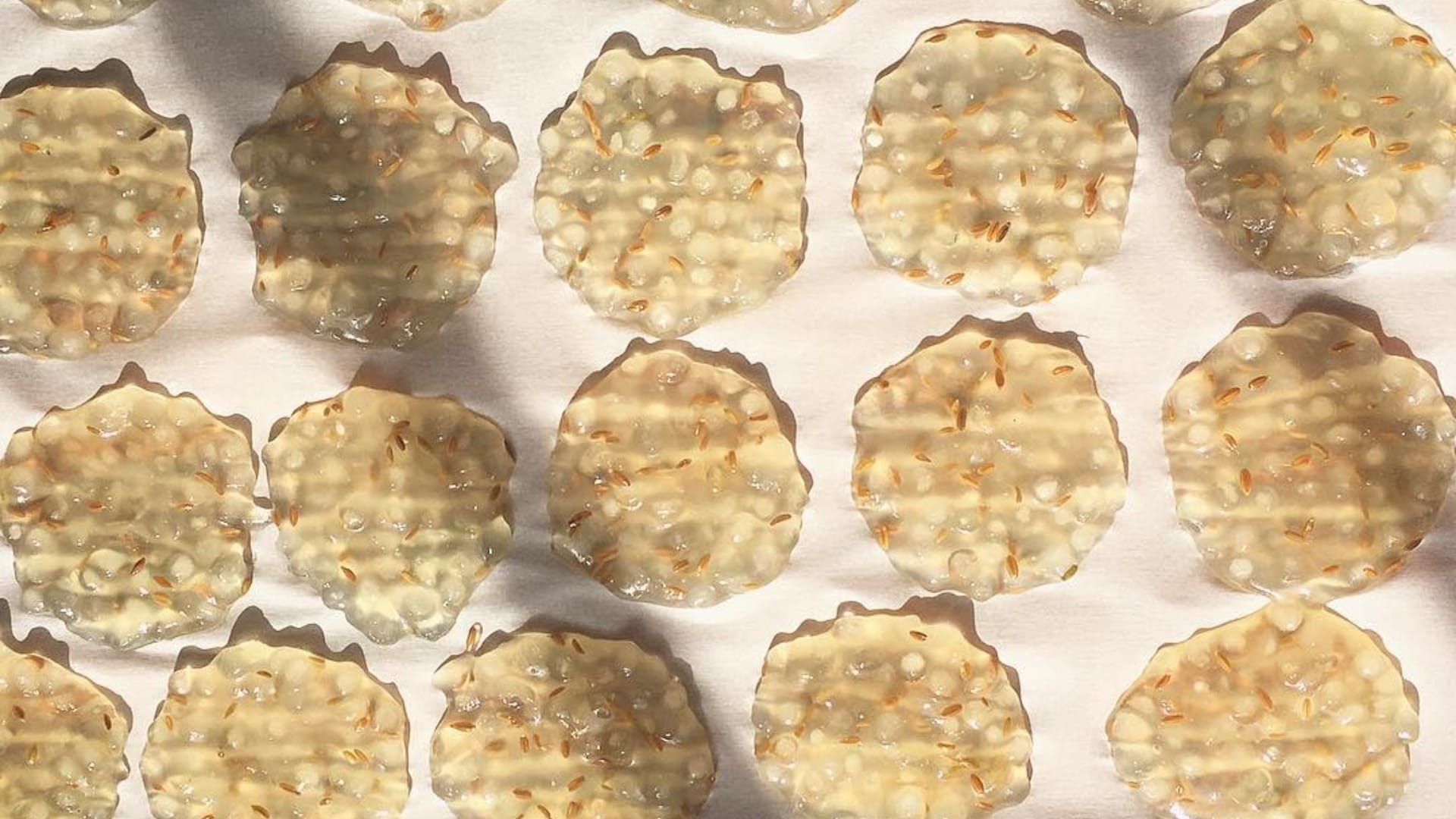 how to make sabudana papad at home for mahashivratri 2026