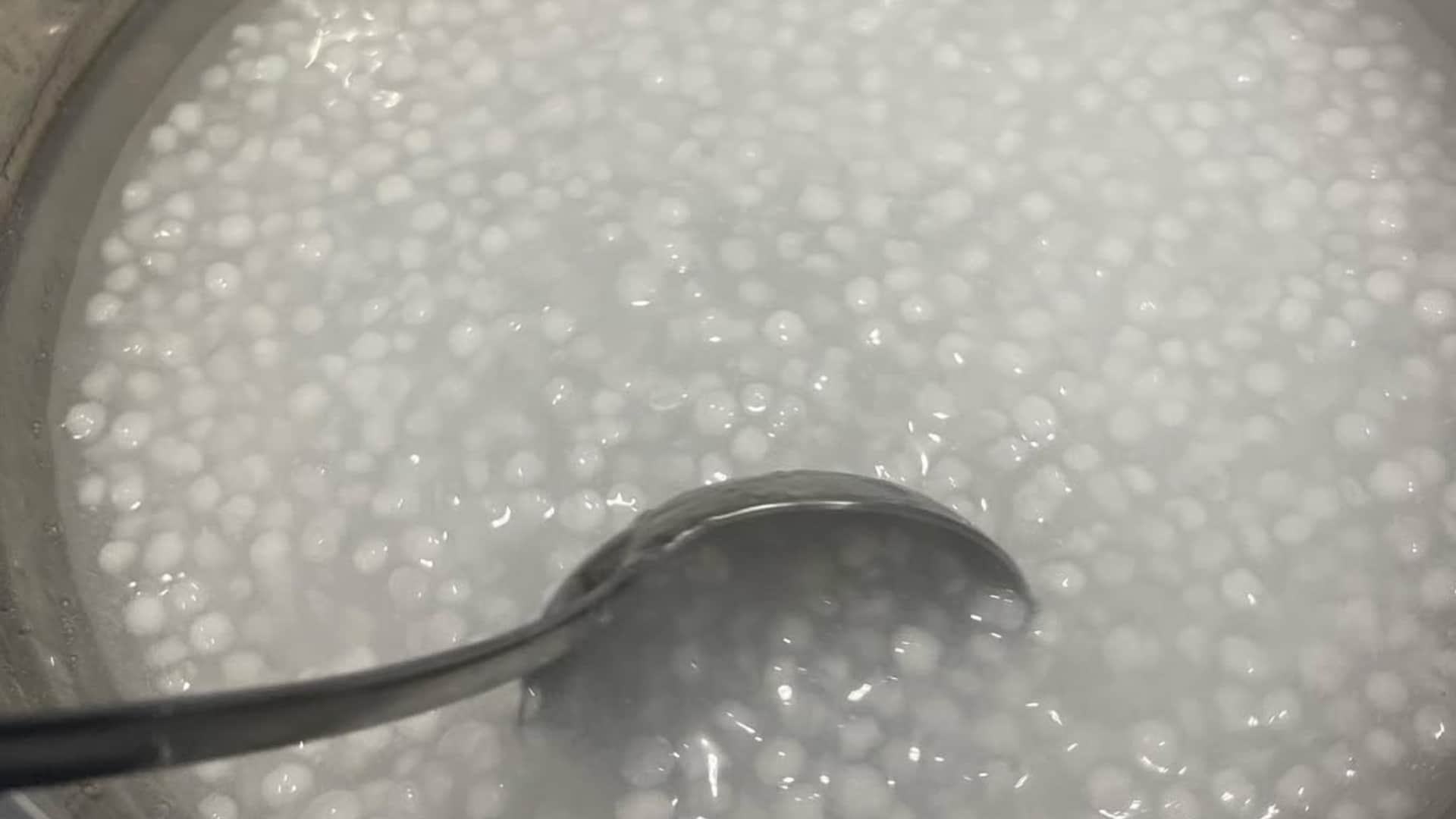 how to make sabudana papad at home for mahashivratri 2026