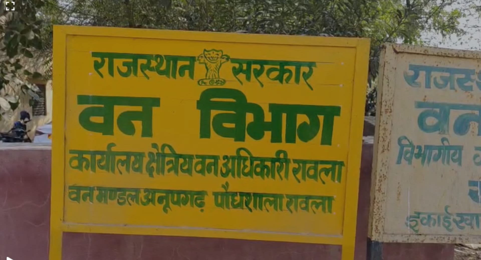 श्रीगंगानगर में अवैध पेड़ कटाई पर दो वन कर्मचारी सस्पेंड