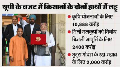 UP Budget: Ahead of the elections, the government is also serious about the stray animals, and the plans are b