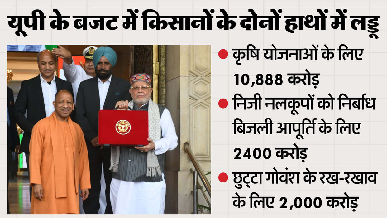 UP Budget: Ahead of the elections, the government is also serious about the stray animals, and the plans are b