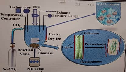 Now alcohol will be made from sugarcane, poplar and eucalyptus bagasse