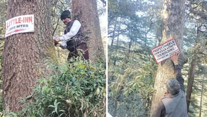 The Municipal Corporation deployed teams to remove hoardings and banners placed on trees.