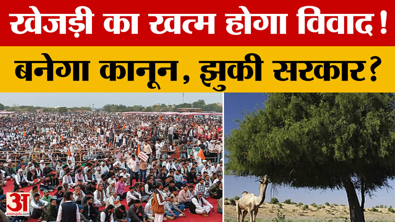 Khejrli Bachao Movement:  बनेगा 'खेजड़ी बचाओ कानून'! खत्म हो सकता है अनशन | Amar Ujala