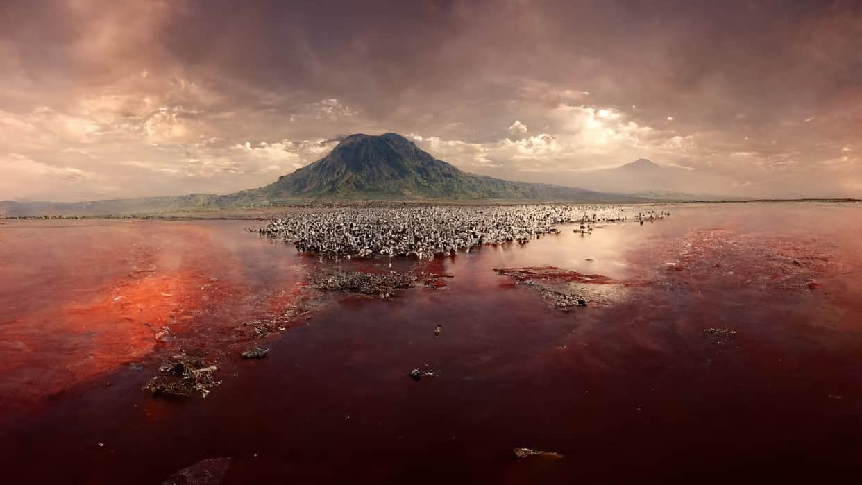 This is World's Most Dangerous Lake On Jump Become Stone Into It Most Dangerous Lake
