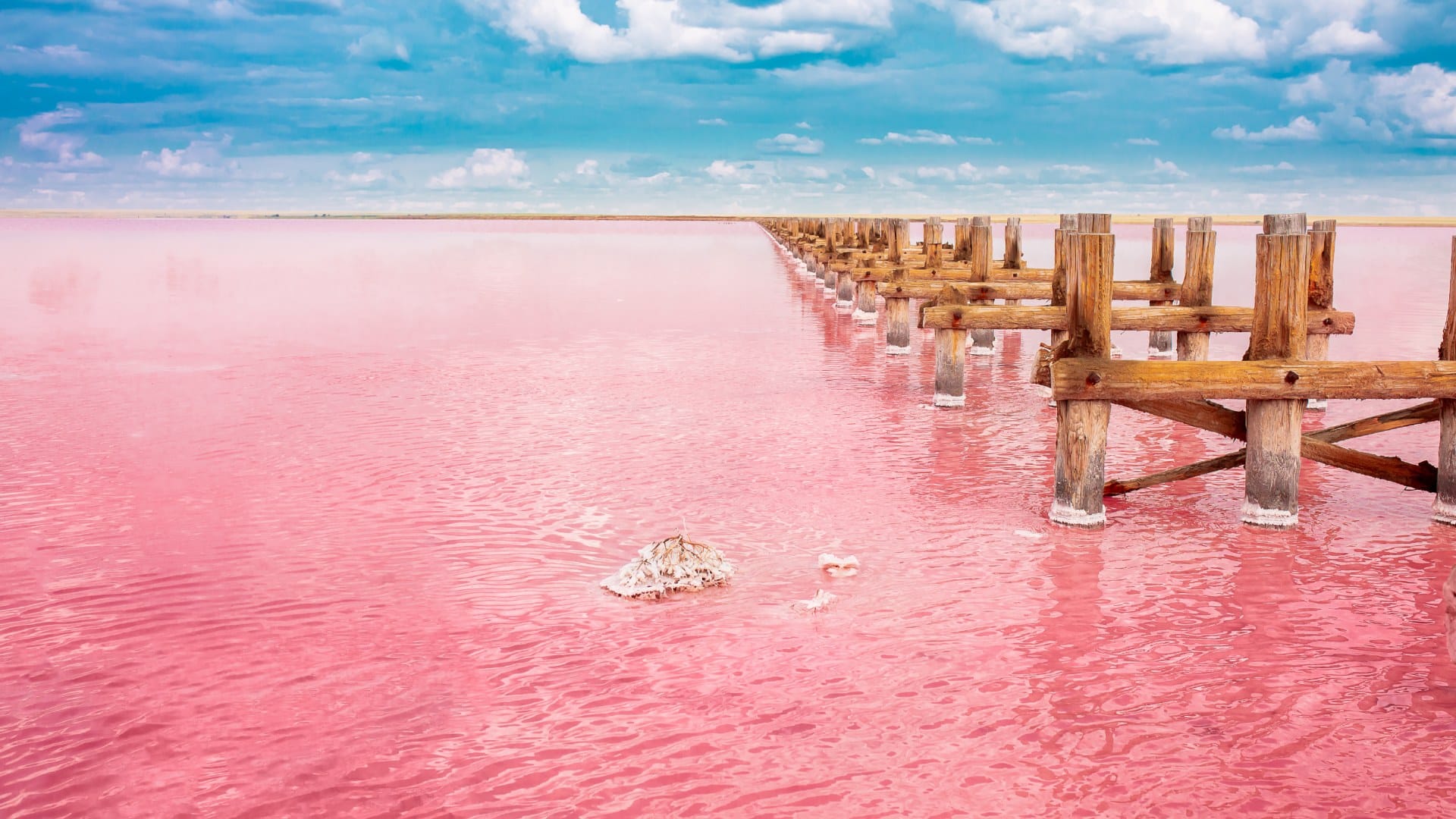 This is World's Most Dangerous Lake On Jump Become Stone Into It Most Dangerous Lake
