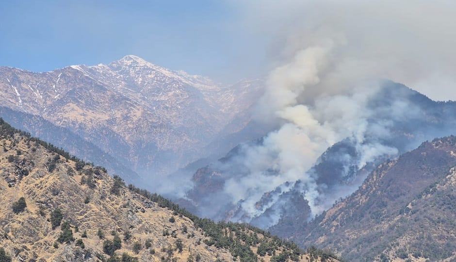 Forest fire in Glacier Range, damage to forest wealth in bageshwar