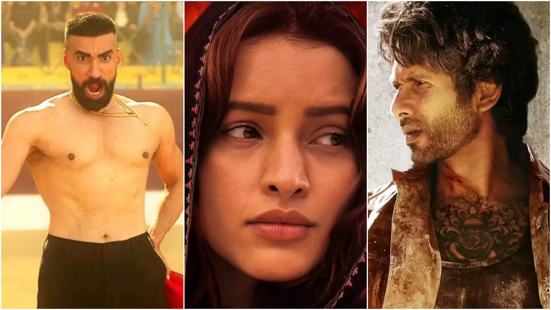 O Romeo box office Collection day 10 know total earning of shahid kapoor film